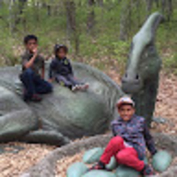 Meet your Posher, Eva - Picture 1 of 1